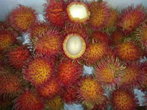 Rambutan