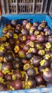 Mangostino selecto