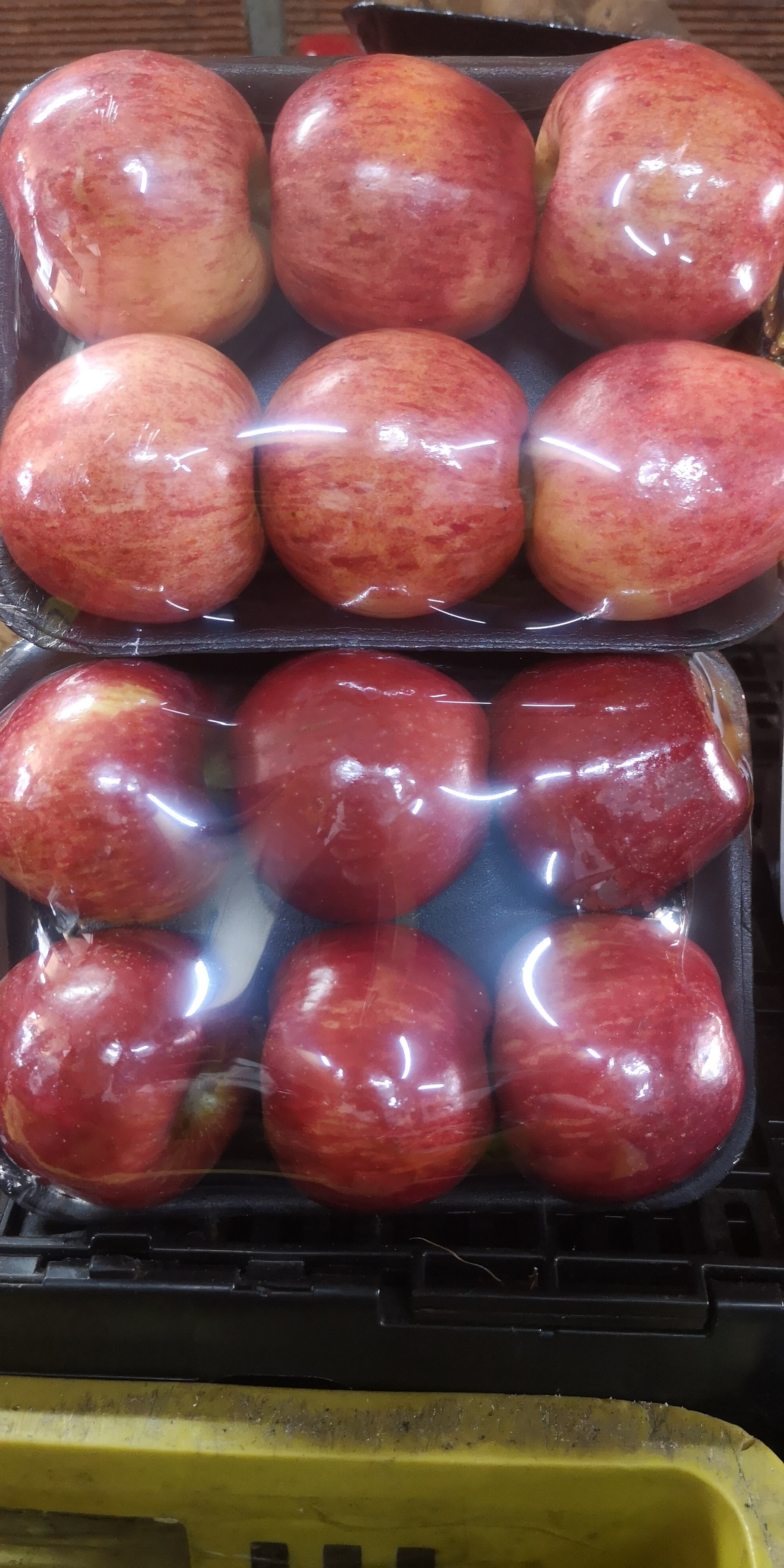 Manzana Gala