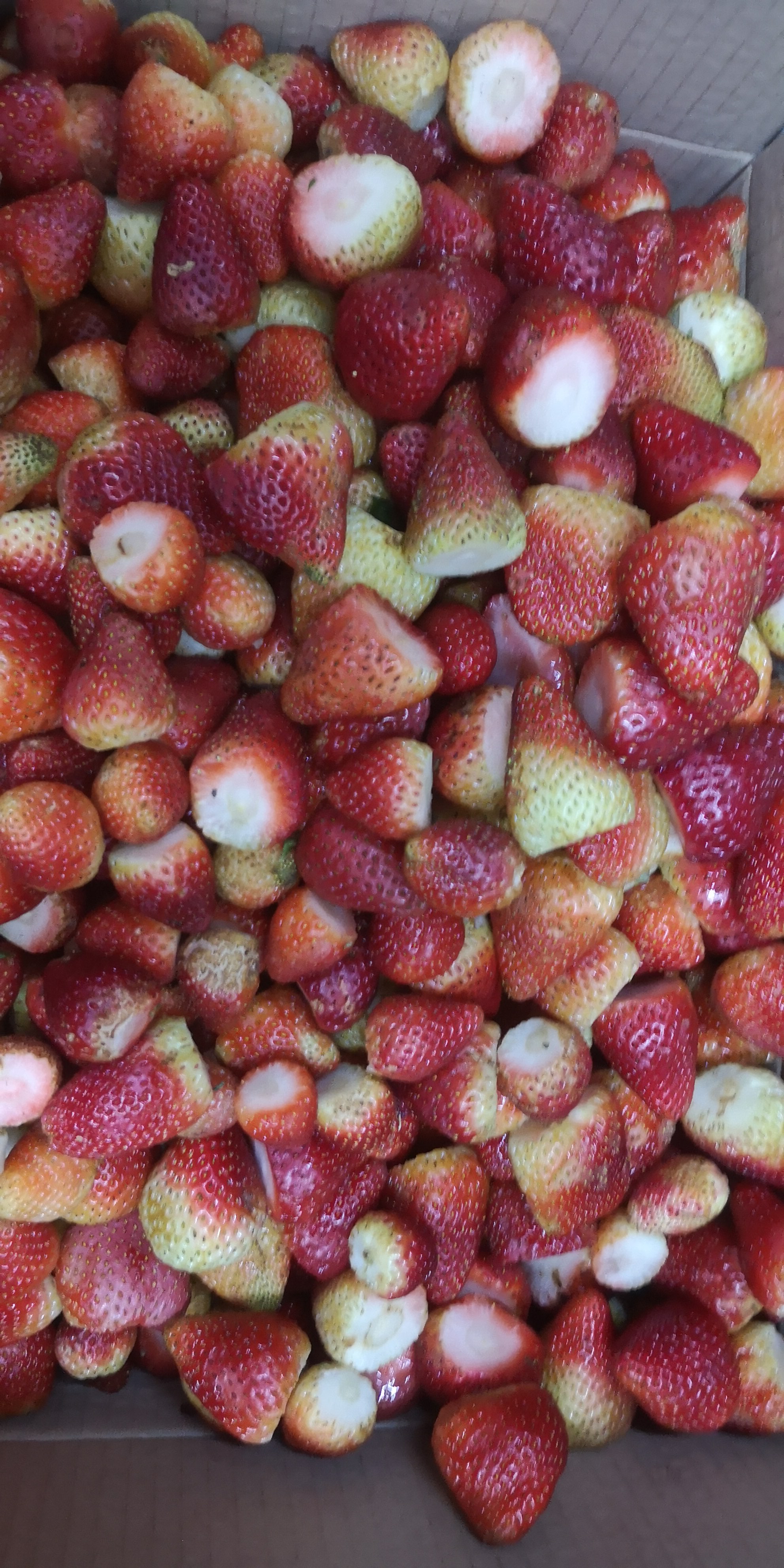 Fresas