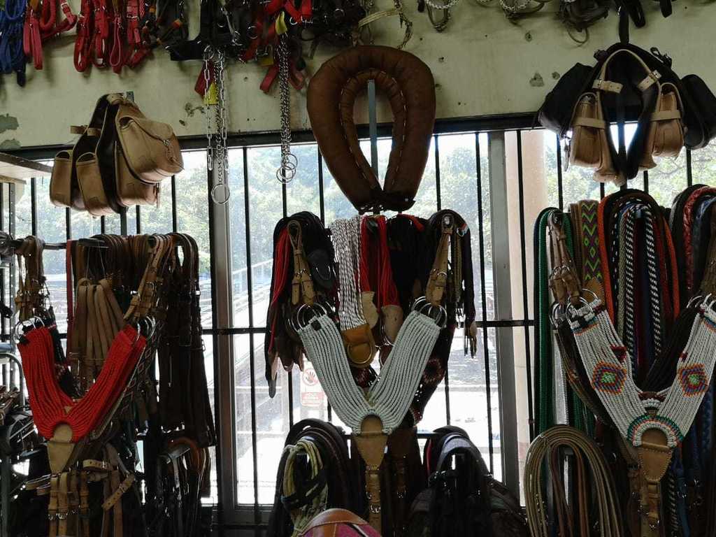 Pecheras  /aperos de Equinos