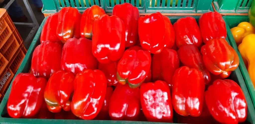Pimenton rojo