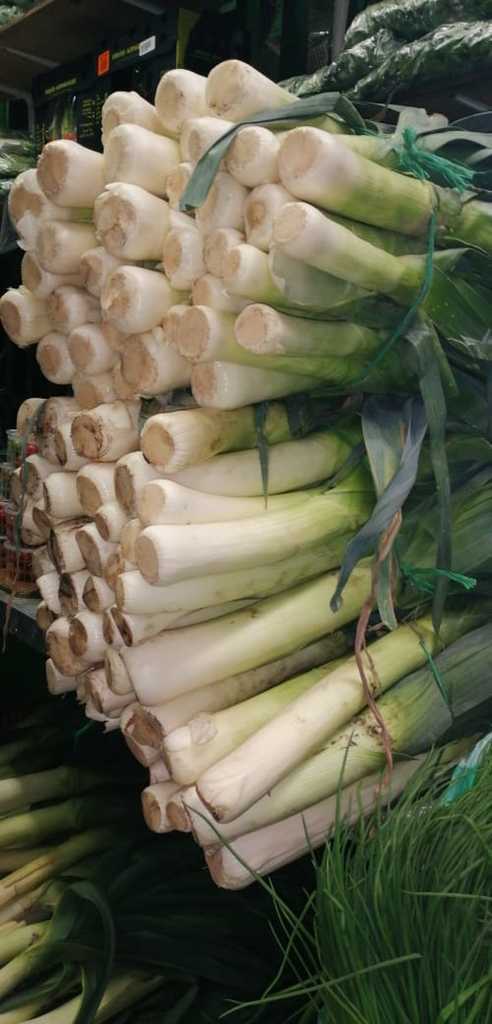 Cebolla puerro