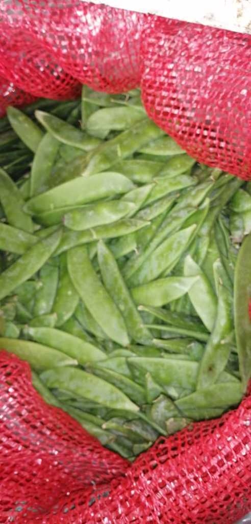 Guisantes o arveja china