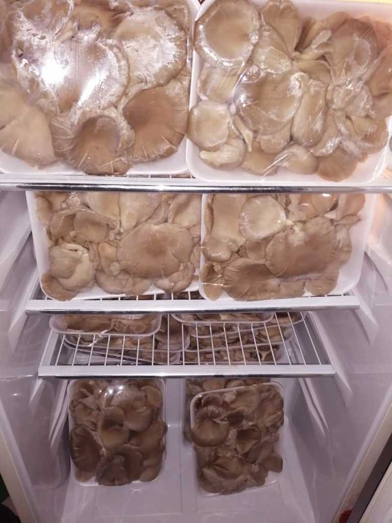 Champiñones