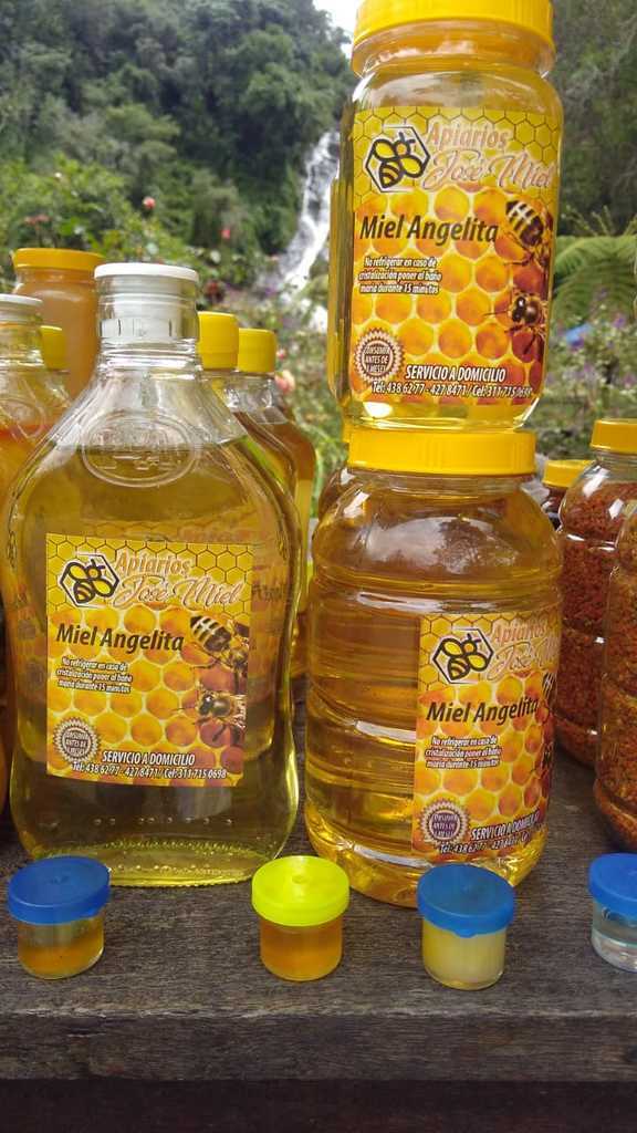 Miel angelita con veneno de abeja × 250 gr