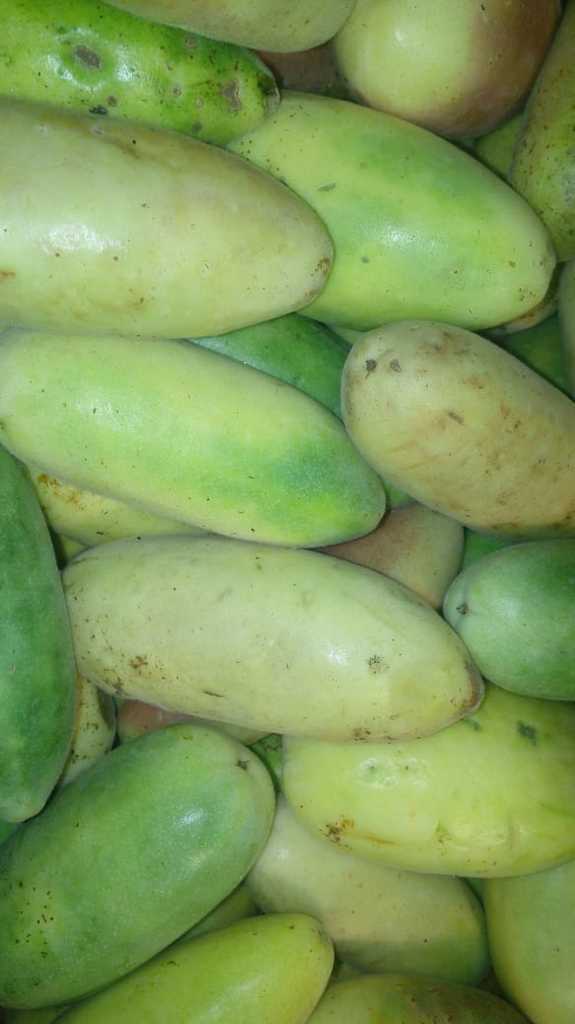 Curuba