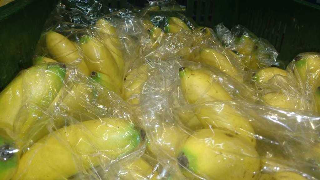 Banano bocadillo tipo exportación