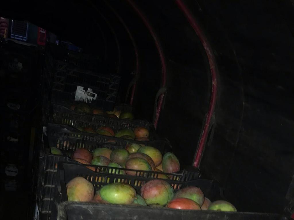 Mango farchi