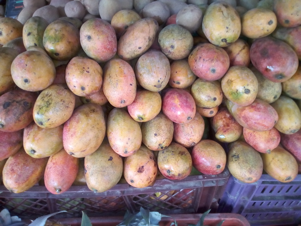 Mango de chupa americano