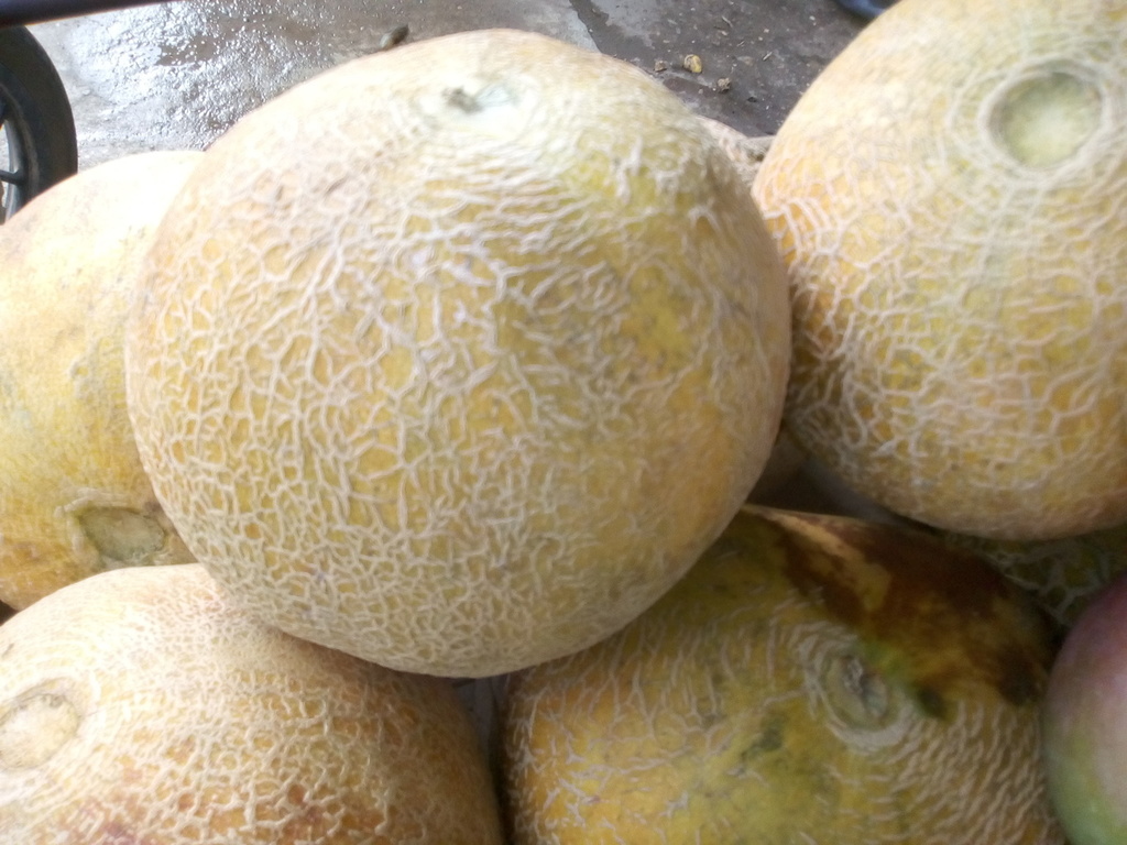 Melón