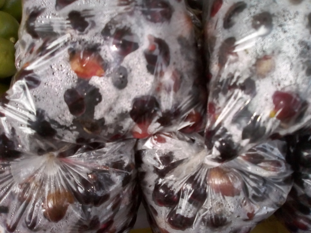 Corozo