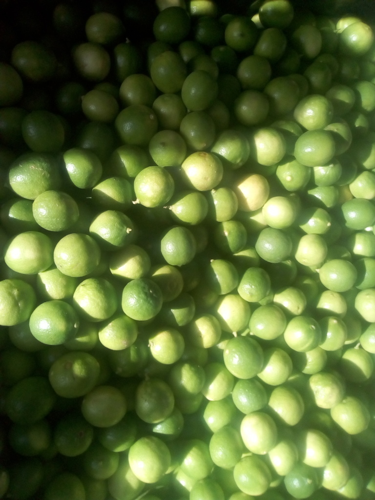 Limón