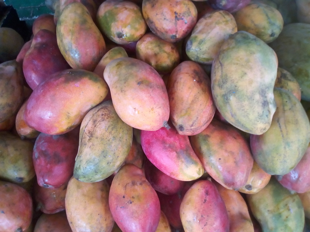 Mango de chupa americano