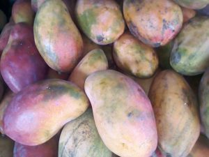 Mango de chupa americano