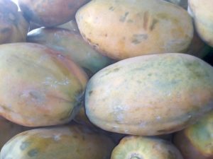 Papaya