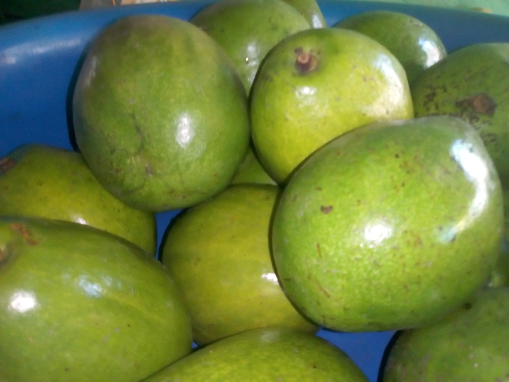Aguacate