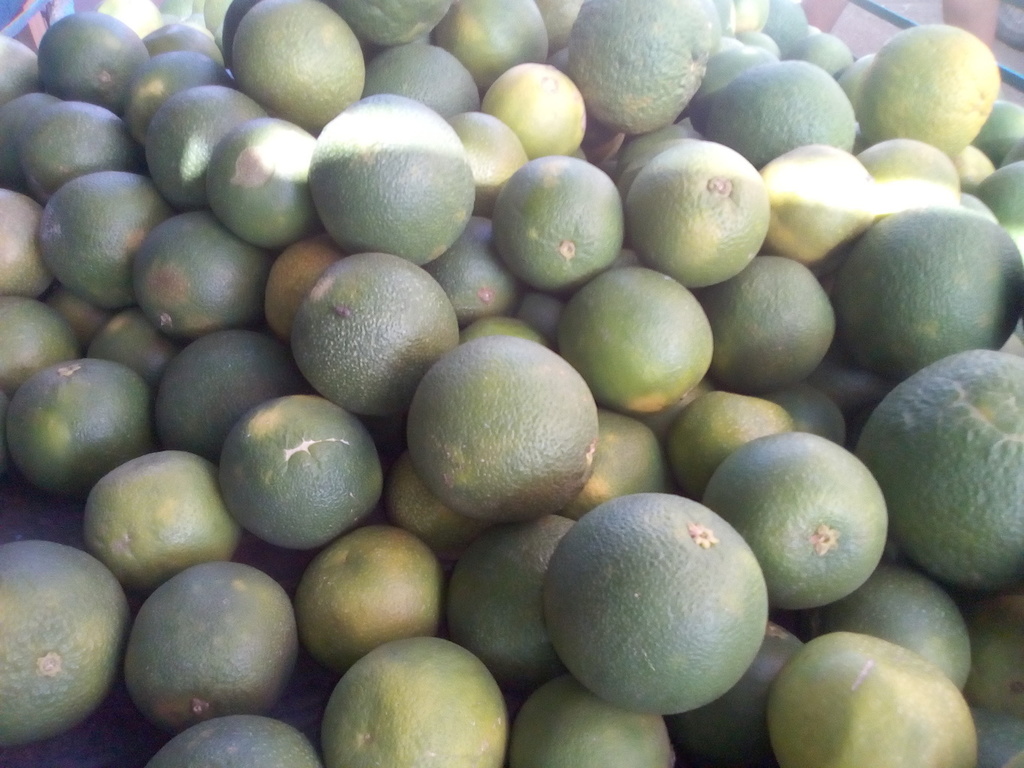 Naranja dulce