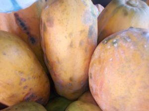 Papaya