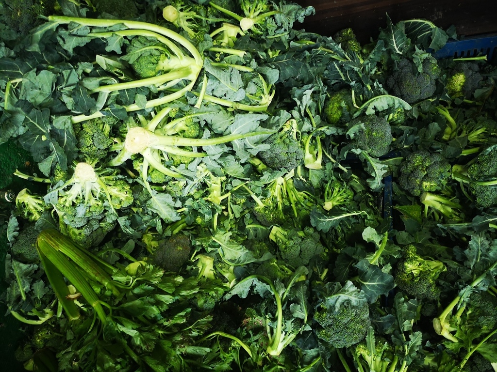 Brócoli /Verdura