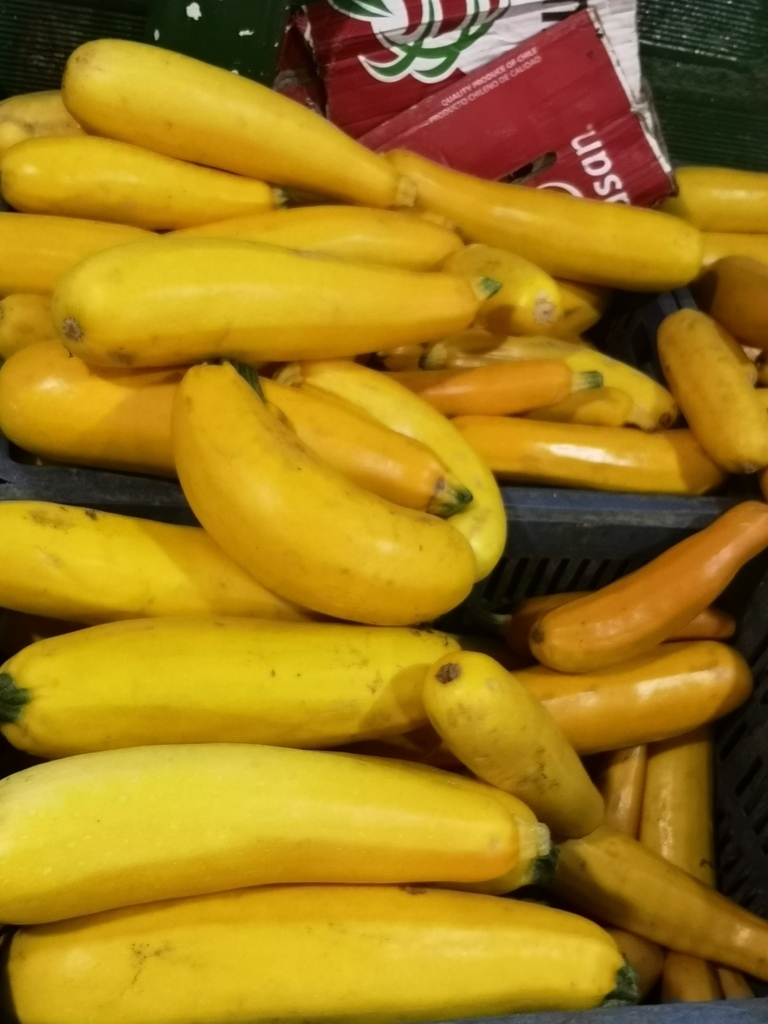 Calabacín Amarillo /Verdura