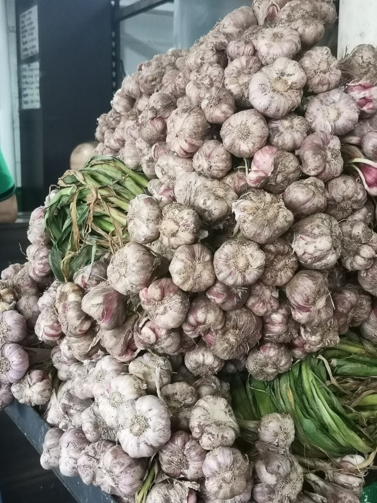 Ajo Criollo /Verdura