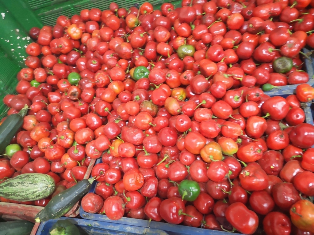 Ají Picante /Vegetal