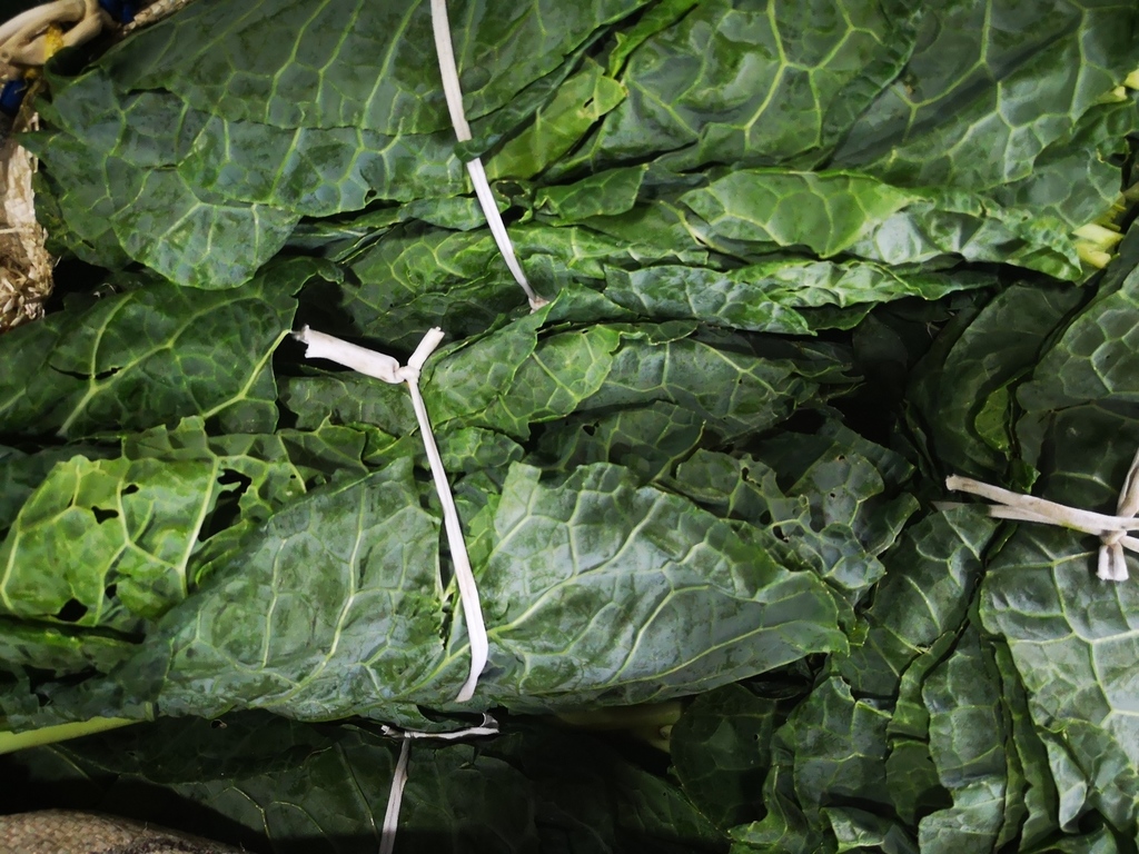 Coles /Verduras