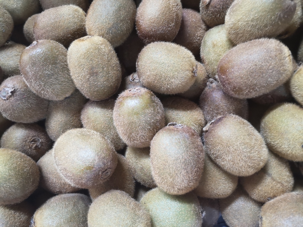 Kiwi/*10kg