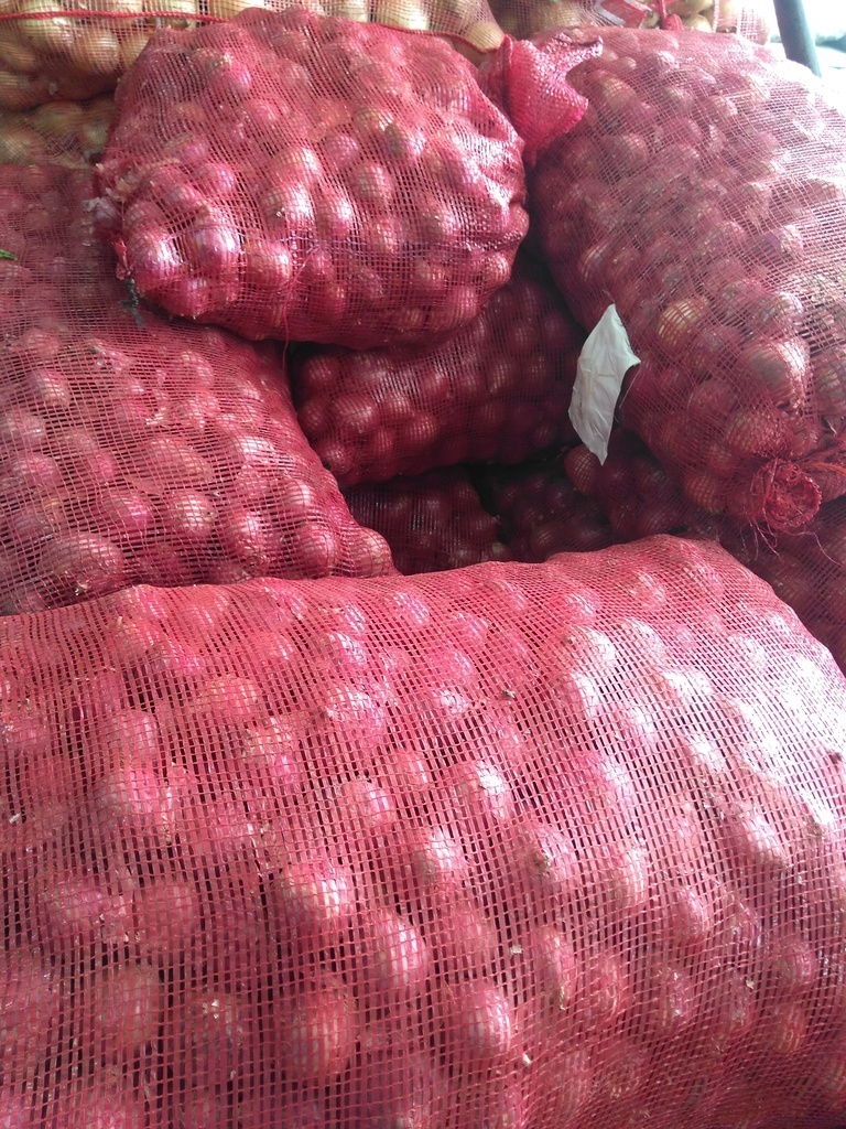 Cebolla ocañera