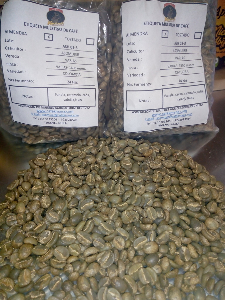Café excelso exportación caturra variedad Colombia