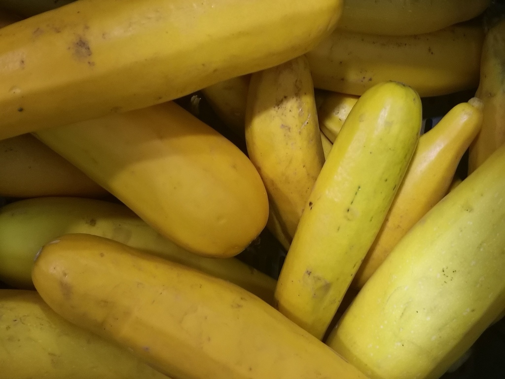 Calabacín Amarillo