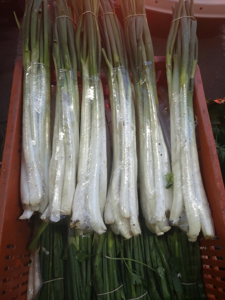 Cebolla Puerro