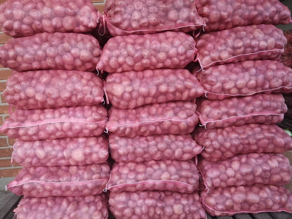 Papa Capira /*50kg