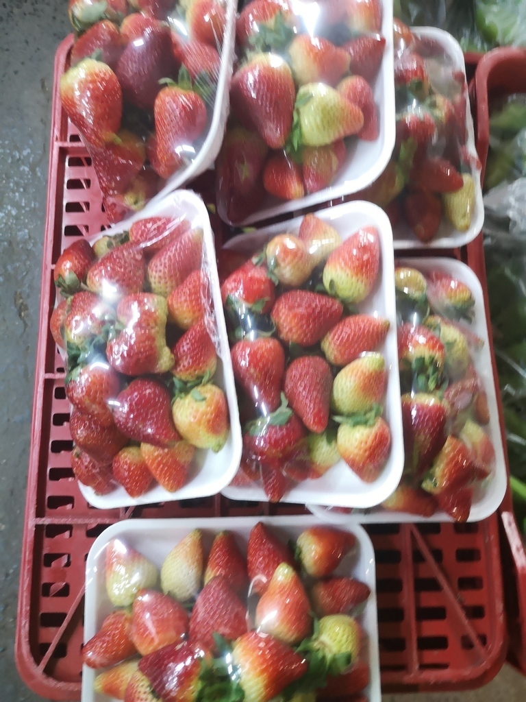 Fresas /*500gm