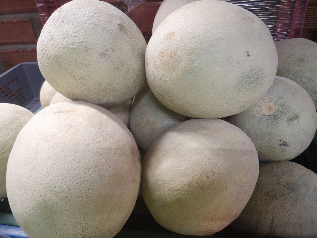 Melon/Fruta