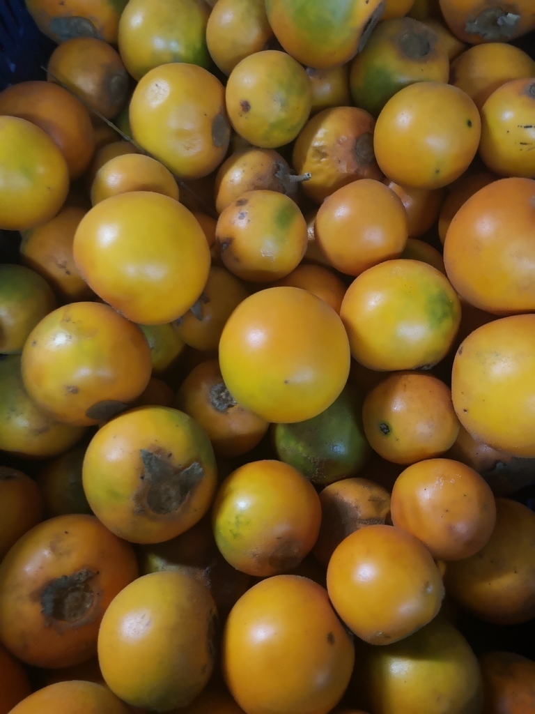 Lulo/fruta
