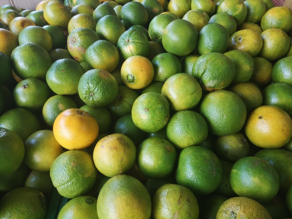 Naranja Washington
