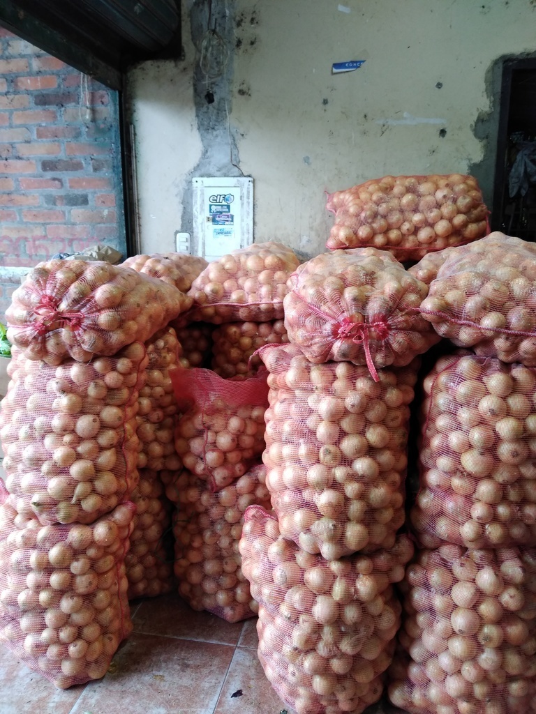 Cebolla de huevo