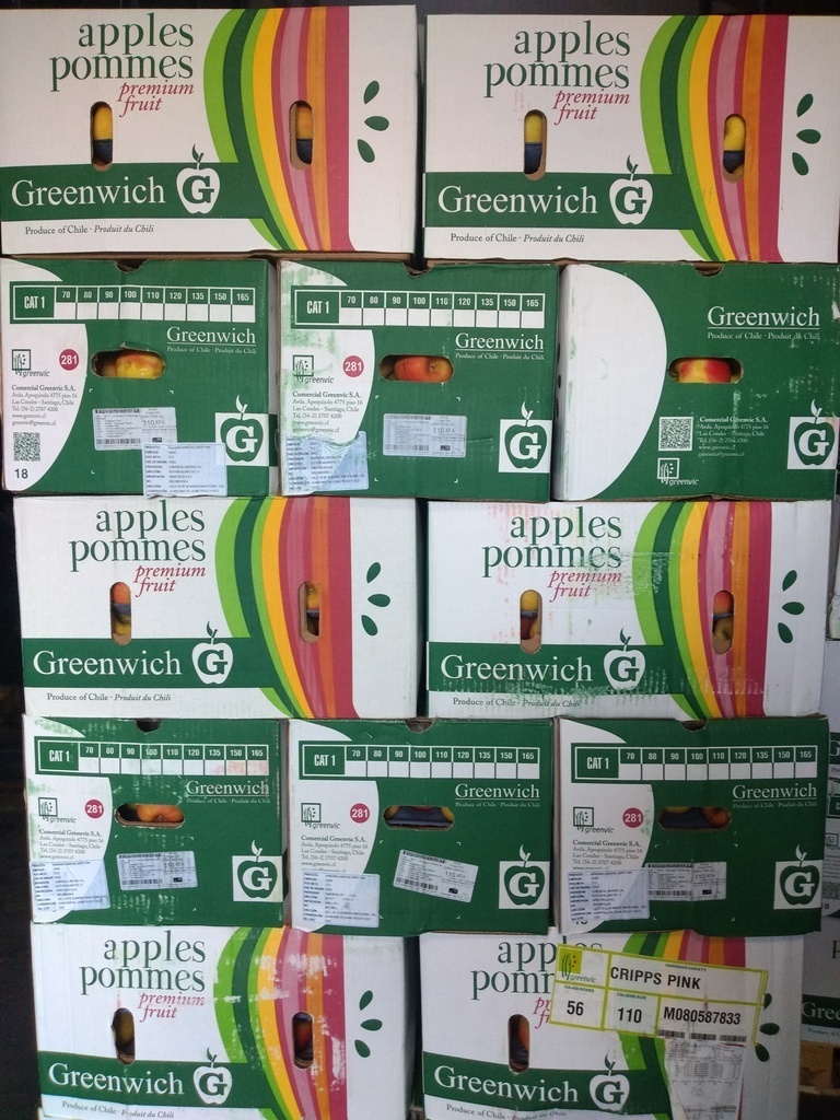 Manzana Gala