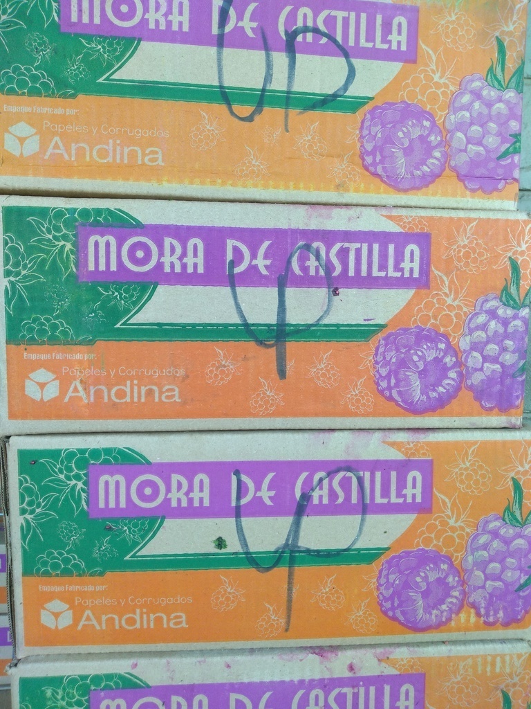 Mora