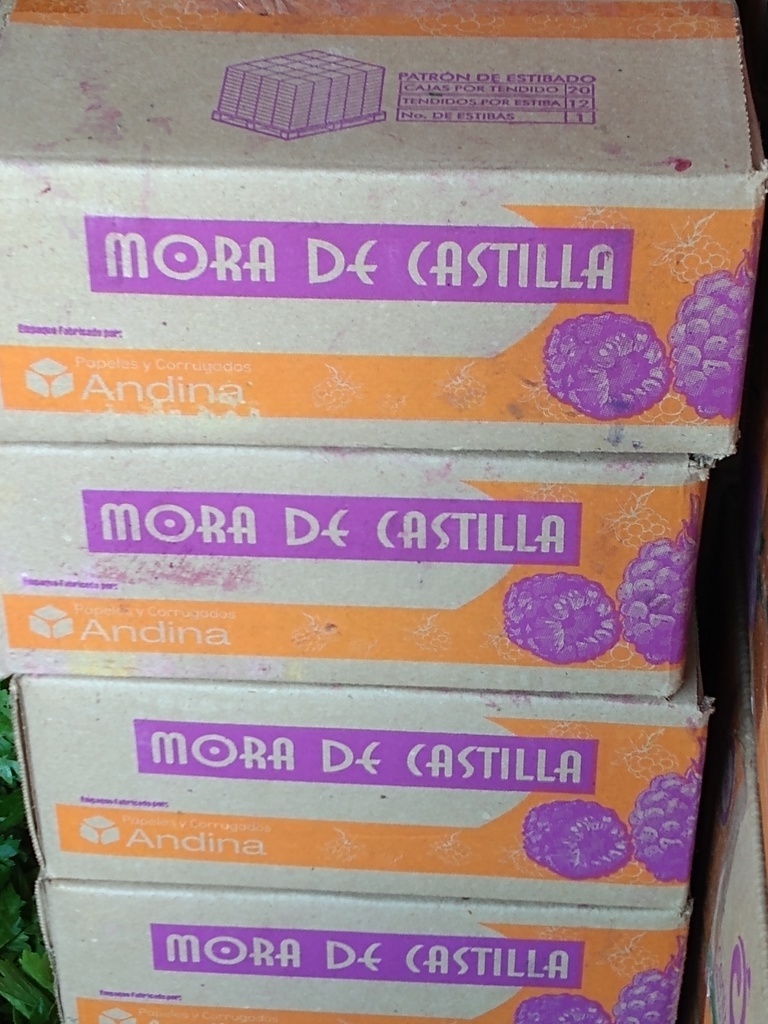 Mora