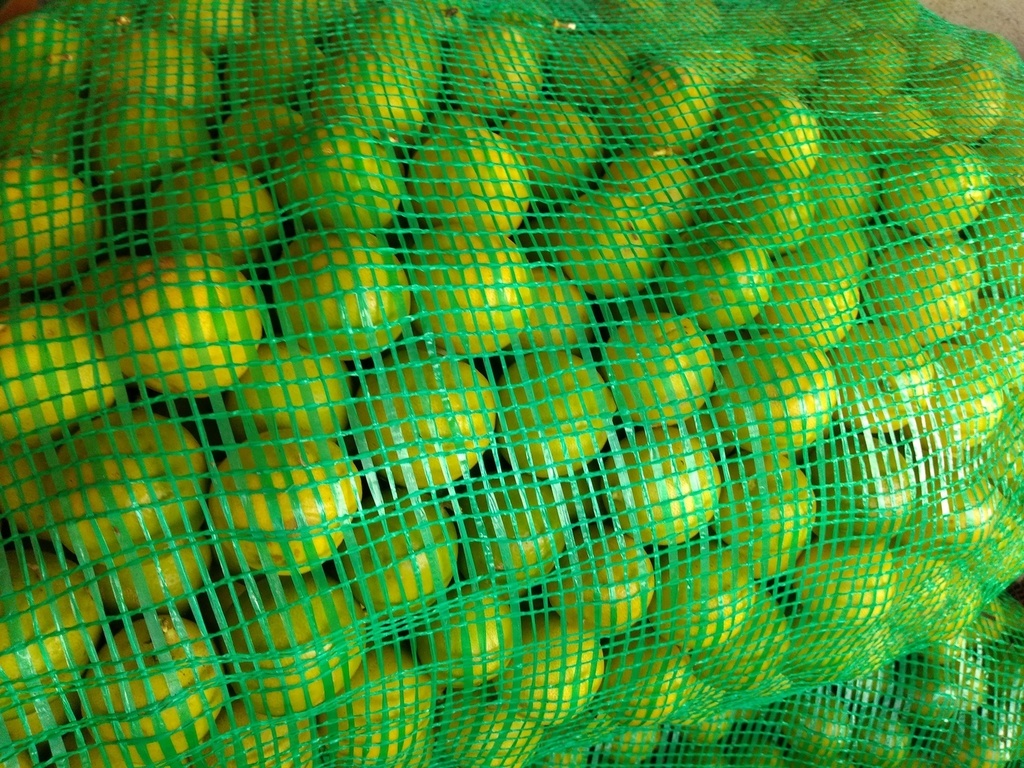 Limón