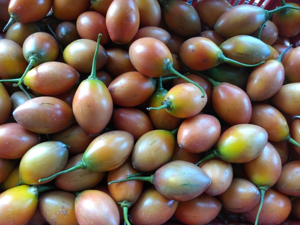Tomate de árbol