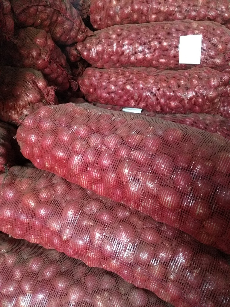 Cebolla peruana