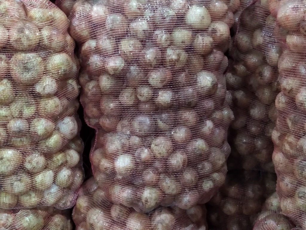 Cebolla blanca