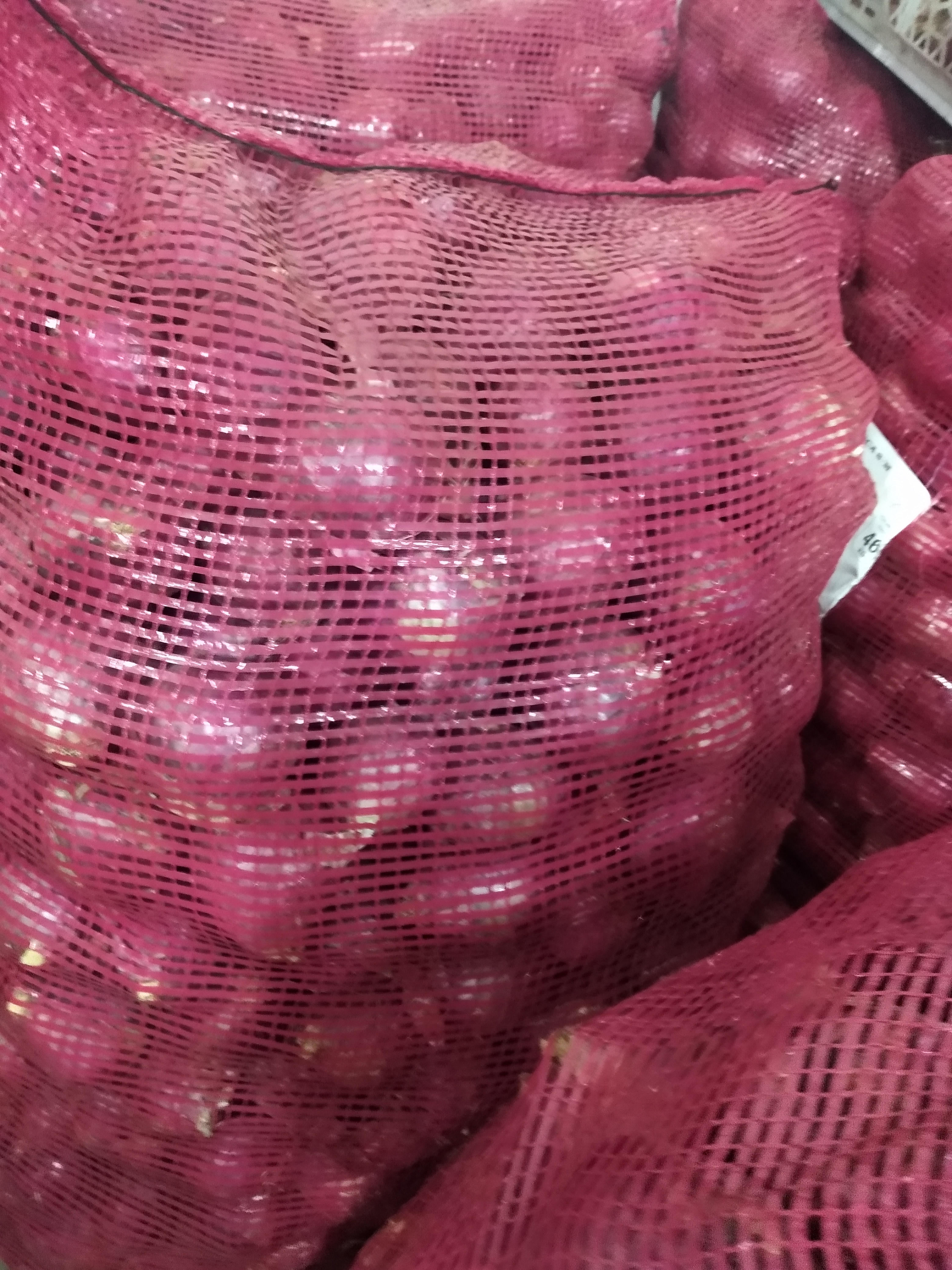Cebolla peruana