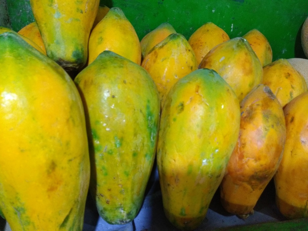 Papaya