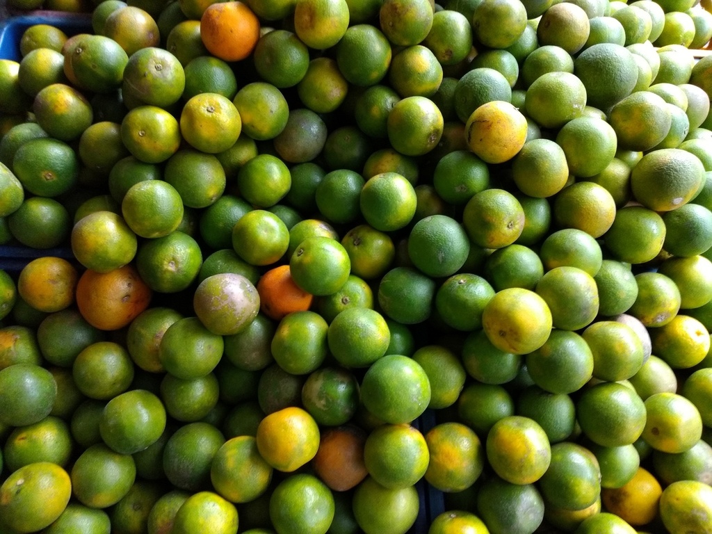 Naranja quindeana grande