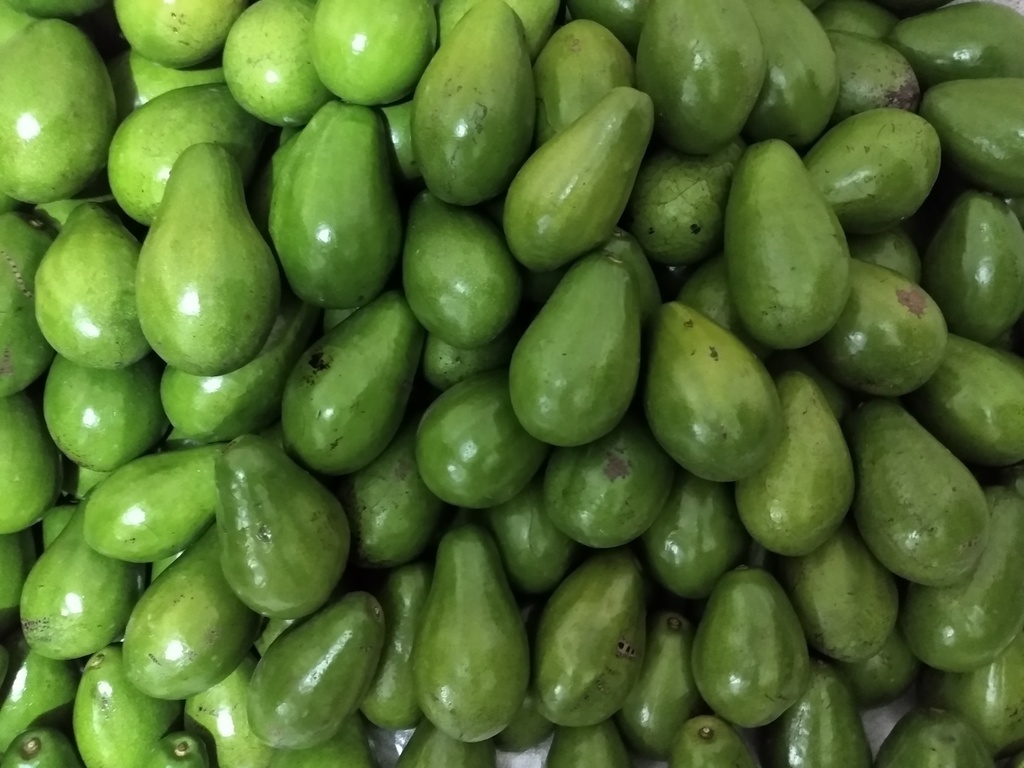 Aguacate papelillo